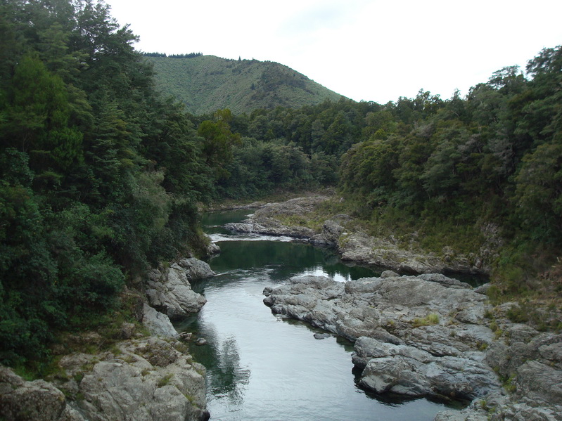 0311PelorusBridge_l