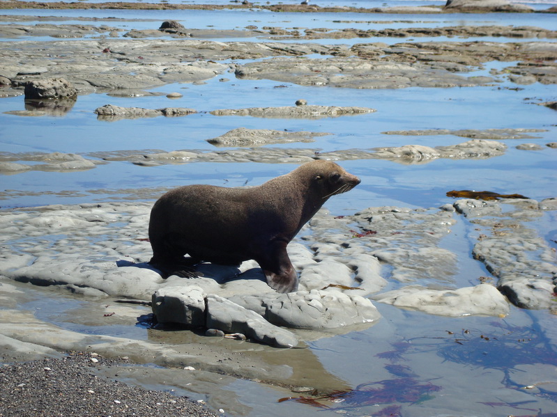 0336_MarfellsBeach_l