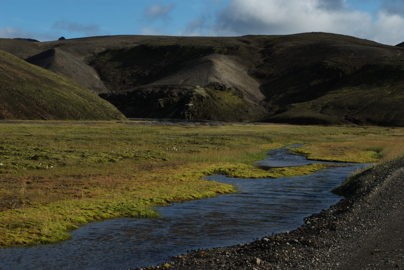 island_0251_l